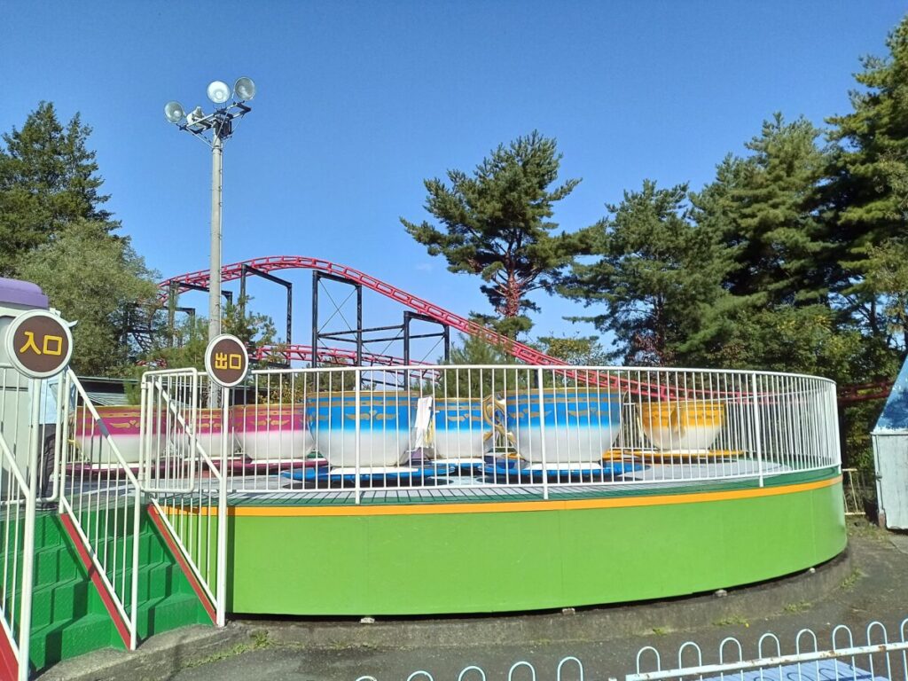 岩山パークランドコーヒーカップ
